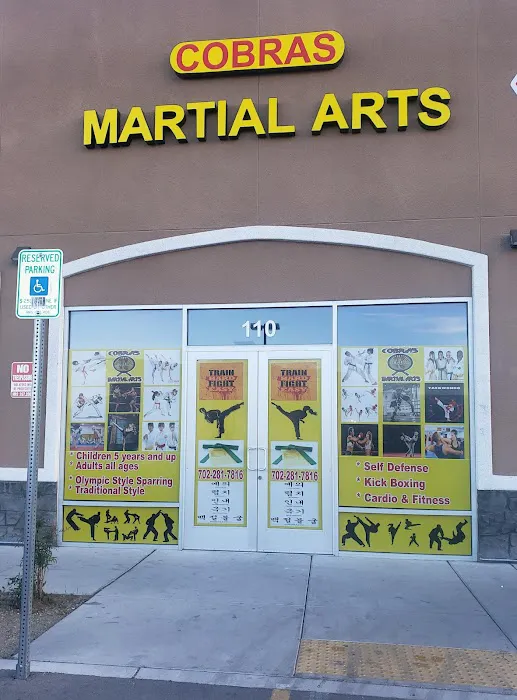 Cobras Martial Arts. Picture 4