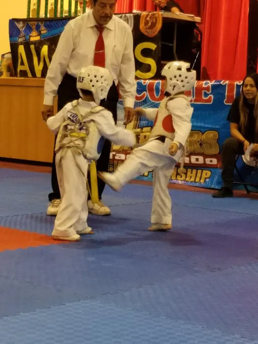 Cobras Martial Arts. Picture 10