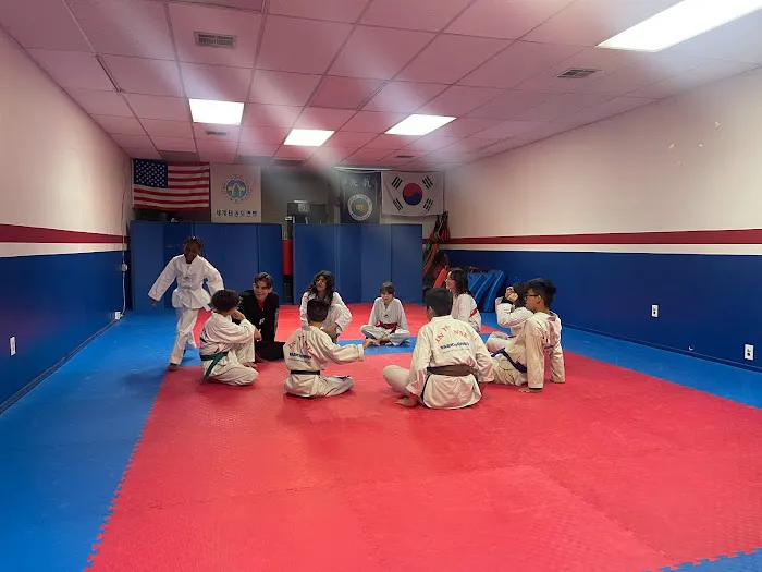 Intense Taekwondo Picture 1