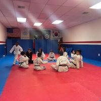 Intense Taekwondo ico