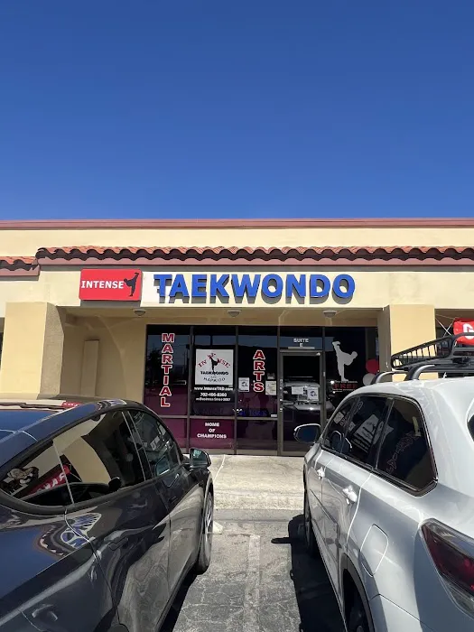 Intense Taekwondo Picture 2