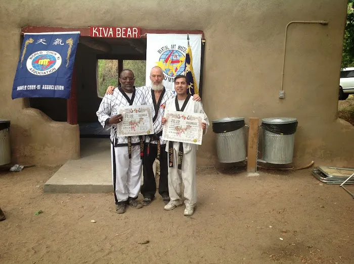 Intense Taekwondo Picture 8