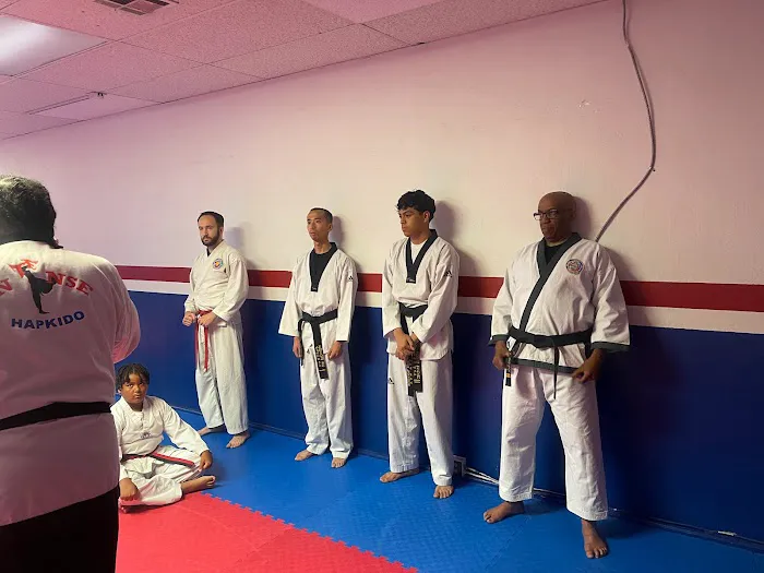 Intense Taekwondo Picture 10