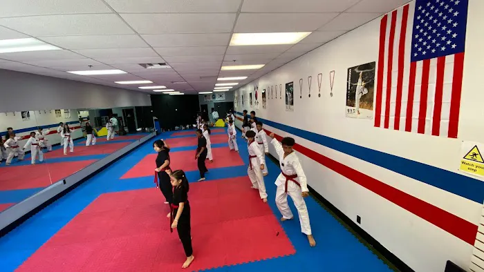 TAEKWONDO THUNDER KIDS #3 Picture 5