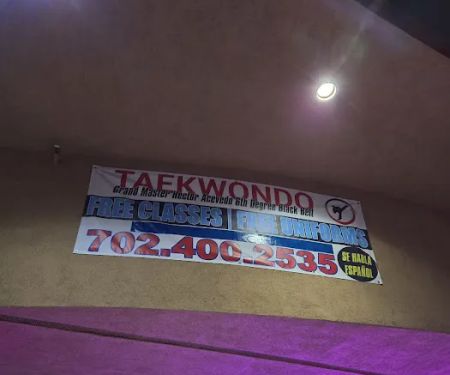 TAEKWONDO THUNDER KIDS #3
