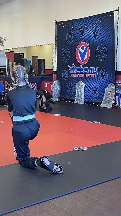 Victory Martial Arts - Boca Park Picture 1