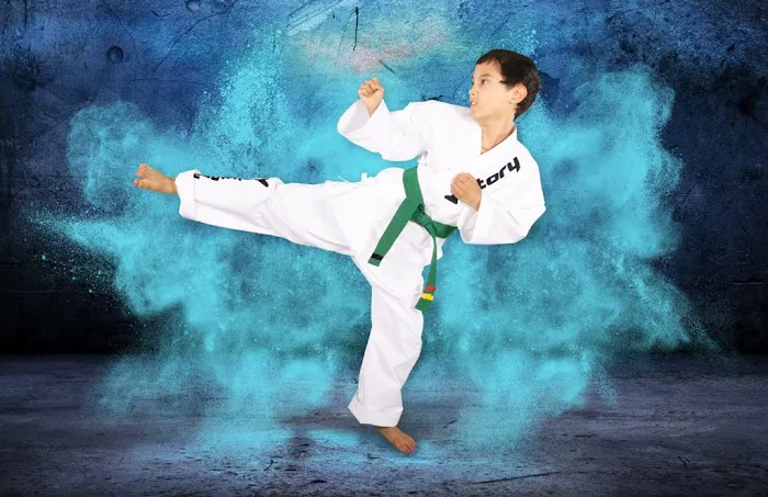 Victory Martial Arts - Boca Park Picture 2