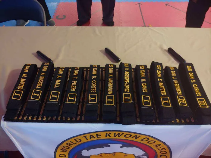 Unity Martial Arts Academy - Taekwondo Studio Picture 9