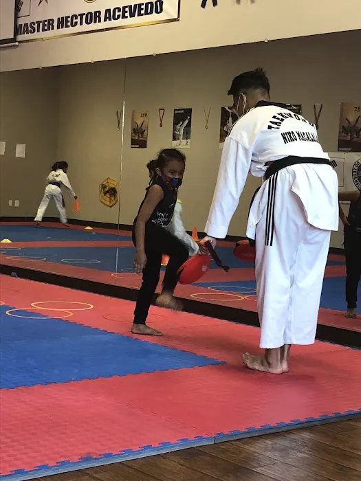 THUNDER KIDS WEST: GRAND MASTER HÉCTOR ACEVEDO.6th DEGREE BLACK BELT TAEKWONDO ITF WORLD Picture 7