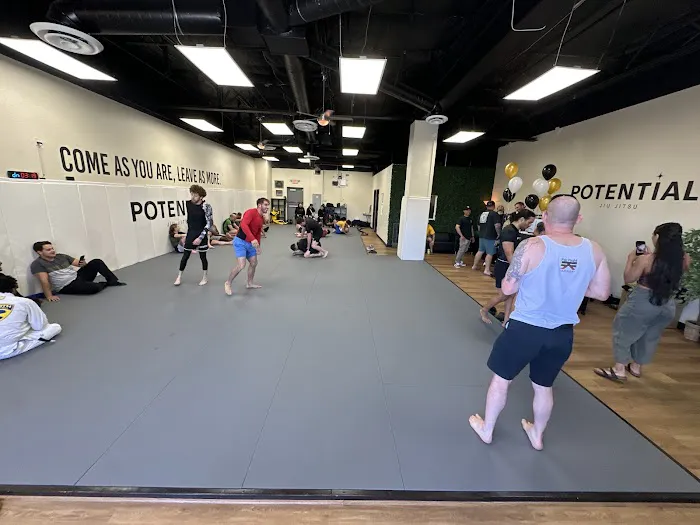 Potential Jiu Jitsu Picture 2