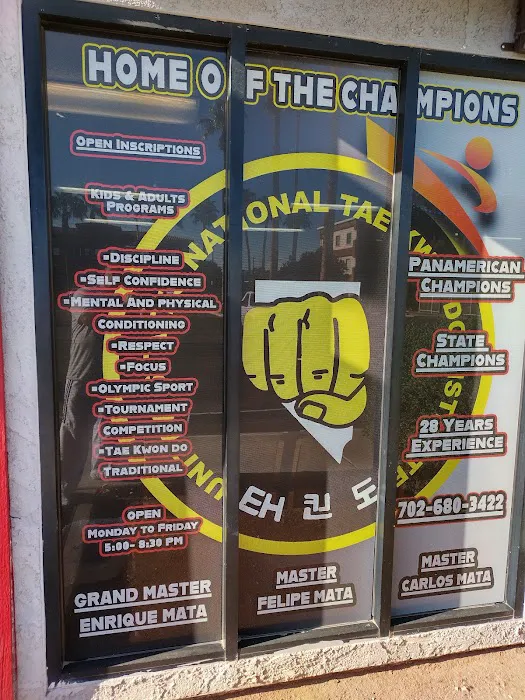 Las Vegas Tae Kwon Do Institute Picture 1