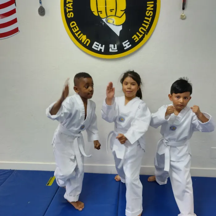 Las Vegas Tae Kwon Do Institute Picture 2