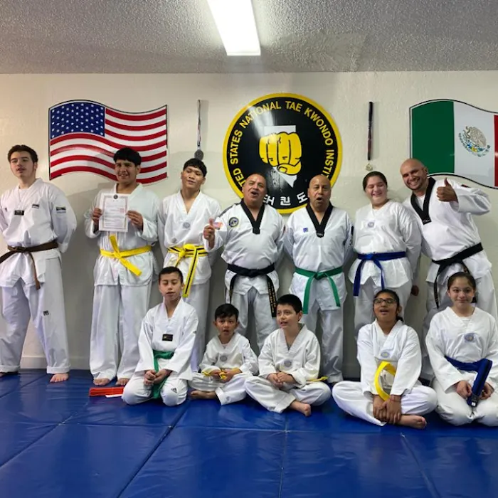 Las Vegas Tae Kwon Do Institute Picture 3