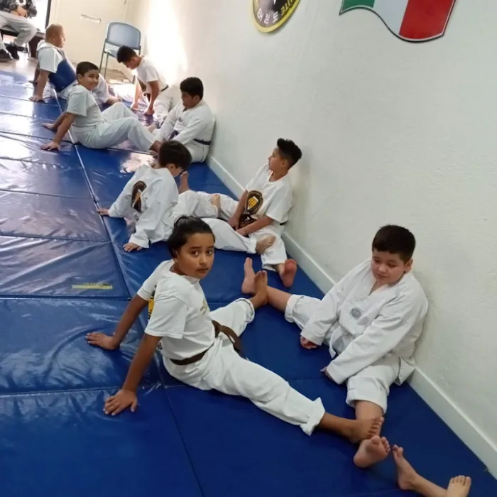Las Vegas Tae Kwon Do Institute Picture 4