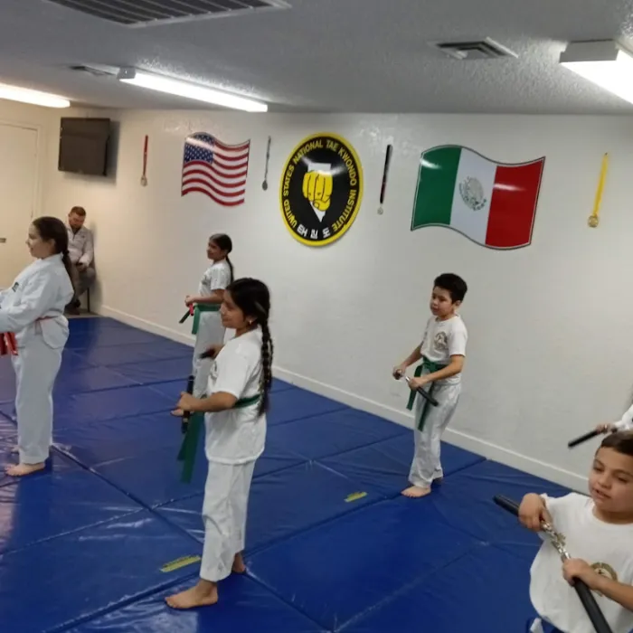 Las Vegas Tae Kwon Do Institute Picture 5