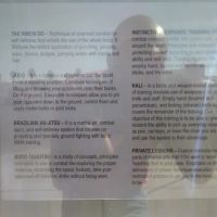 Las Vegas Martial Arts Academy ico