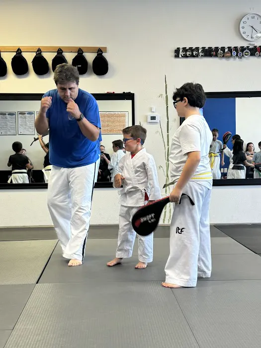 Las Vegas Martial Arts Academy Picture 3