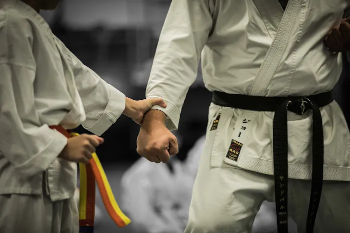 Ageless Martial Arts Las Vegas Picture 10