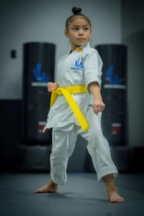 Ageless Martial Arts Las Vegas Picture 8