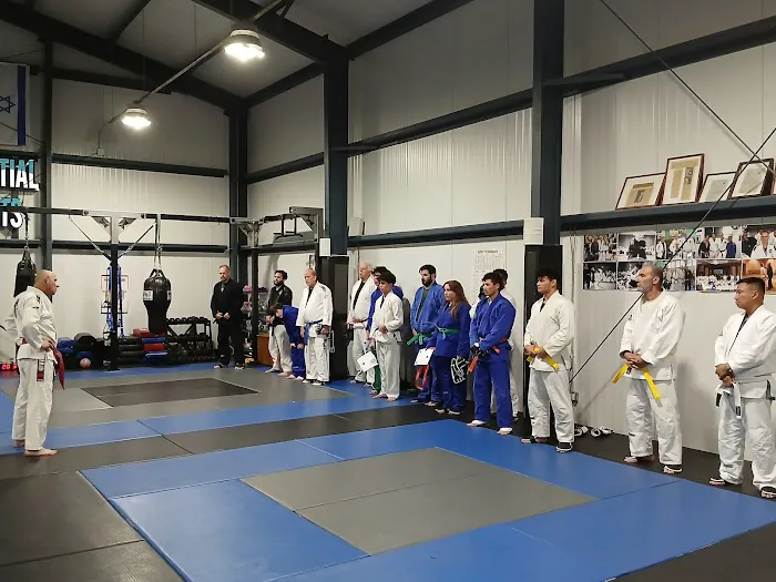 Center For Israeli Martial Arts Picture 2