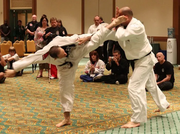 Center For Israeli Martial Arts Picture 10