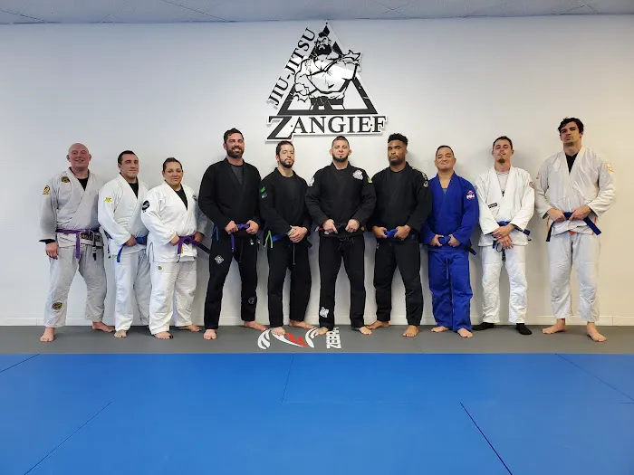 Zangief Jiu Jitsu Picture 2