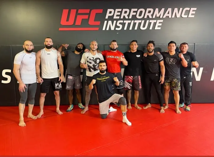 Zangief Jiu Jitsu Picture 3