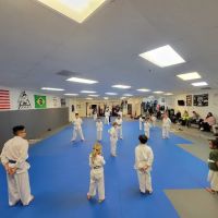 Zangief Jiu Jitsu ico