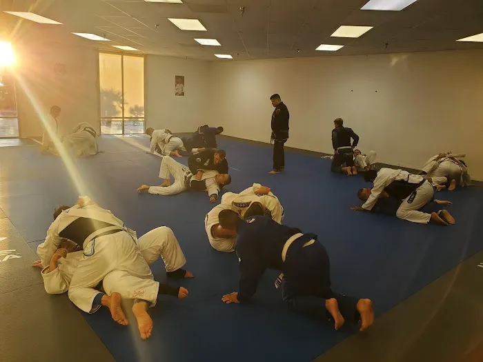 Zangief Jiu Jitsu Picture 10