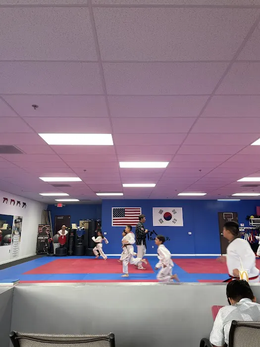 WTM Taekwondo Picture 5