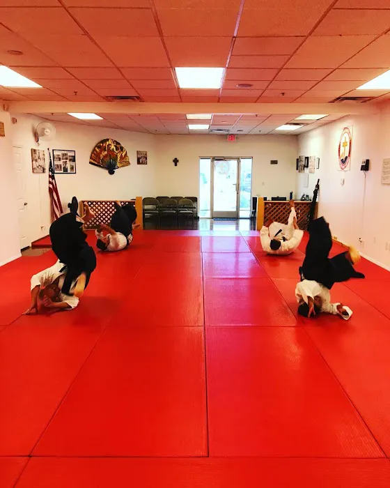 Traditional Karate and Aikido Picture 3