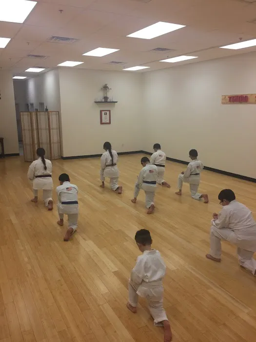 Traditional Karate and Aikido Picture 6