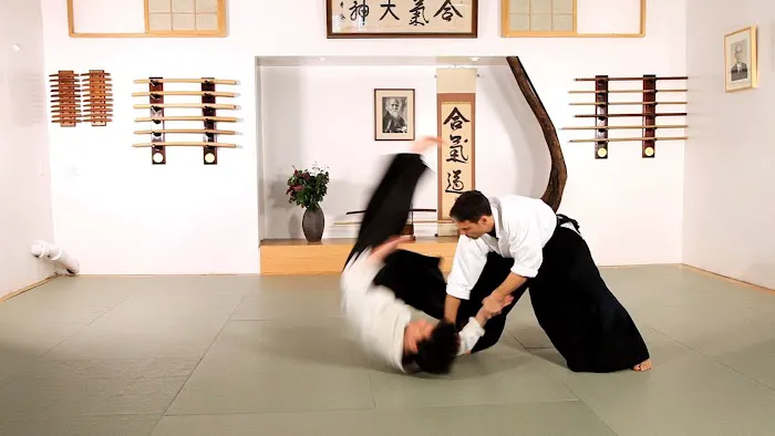 Traditional Karate and Aikido Picture 4