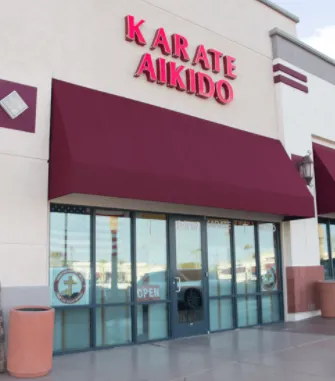 Traditional Karate and Aikido Picture 10