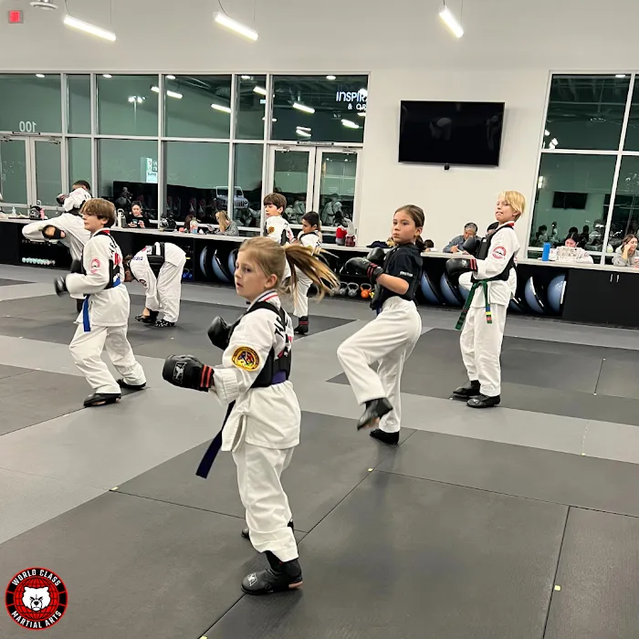World Class Martial Arts Picture 8