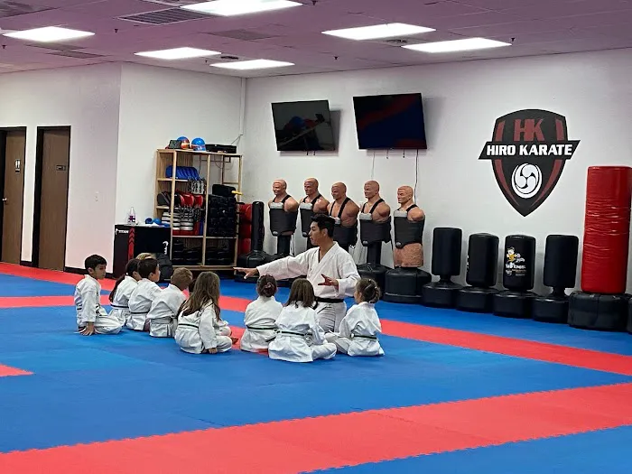 Hiro Karate Las Vegas Picture 6