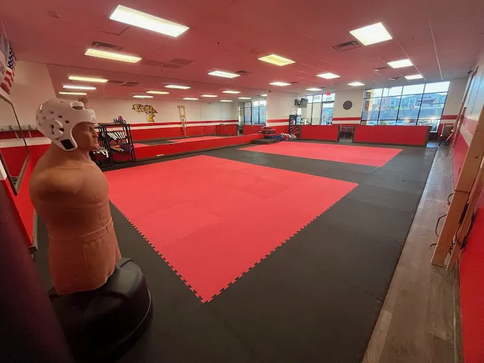 Invictus Taekwondo Center Las Vegas Picture 1