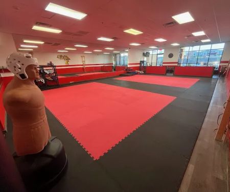 Invictus Taekwondo Center Las Vegas