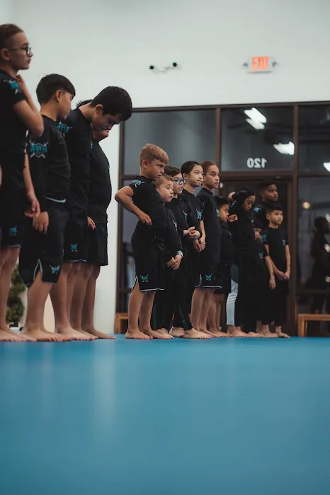 Atos Jiu-Jitsu Las Vegas Picture 8