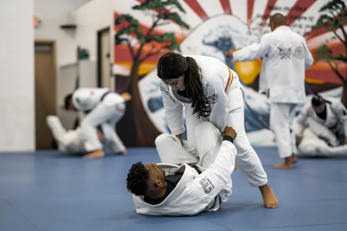 Atos Jiu-Jitsu Las Vegas Picture 9