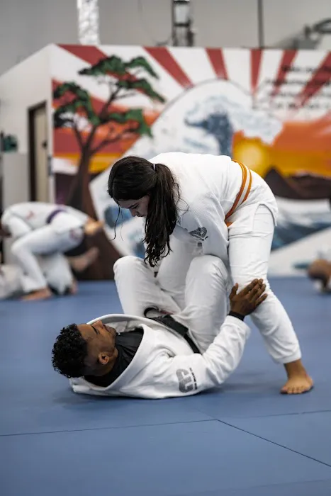 Atos Jiu-Jitsu Las Vegas Picture 3