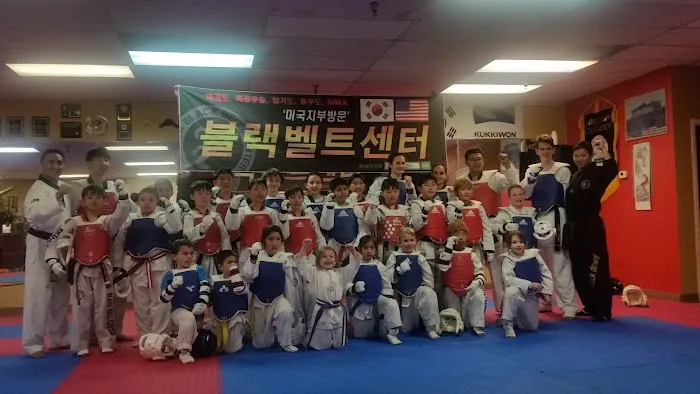 Global Taekwondo Academy Picture 1