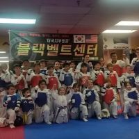 Global Taekwondo Academy ico