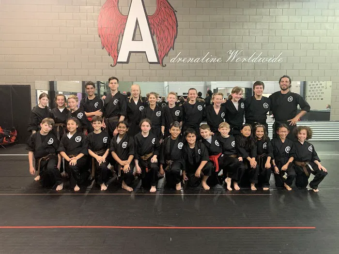 Adrenaline Martial Arts Picture 3