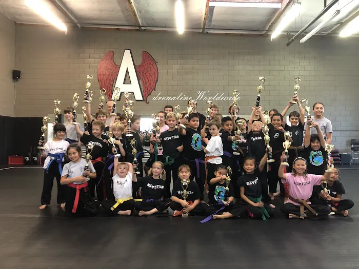 Adrenaline Martial Arts Picture 6