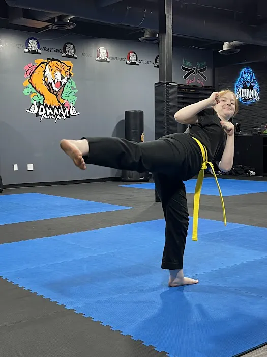 Ohana Martial Arts Picture 1