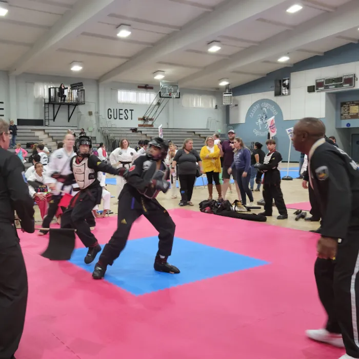 Ohana Martial Arts Picture 3