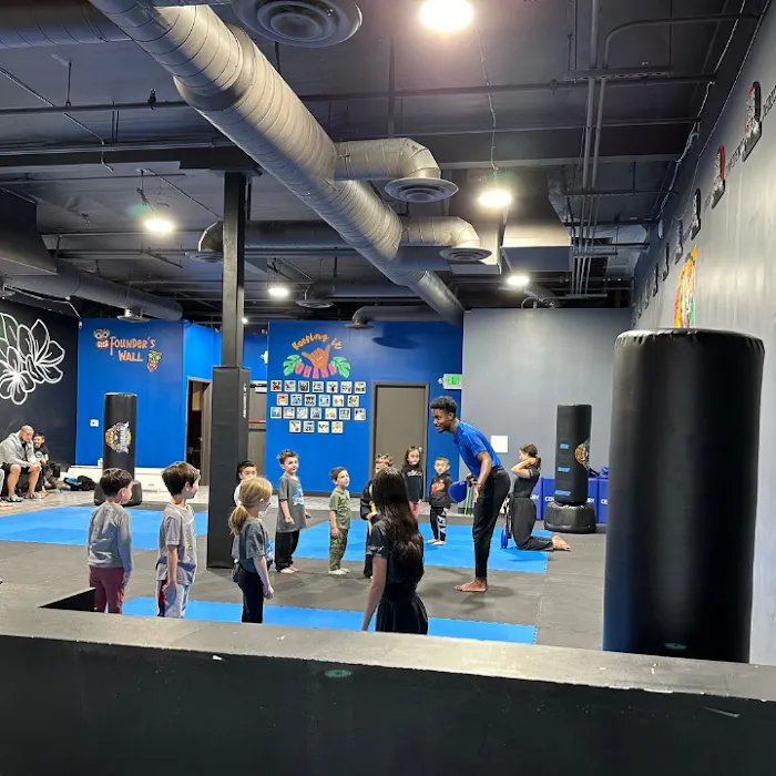 Ohana Martial Arts Picture 4