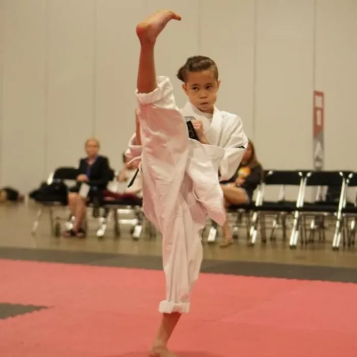 Ohana Martial Arts Picture 5