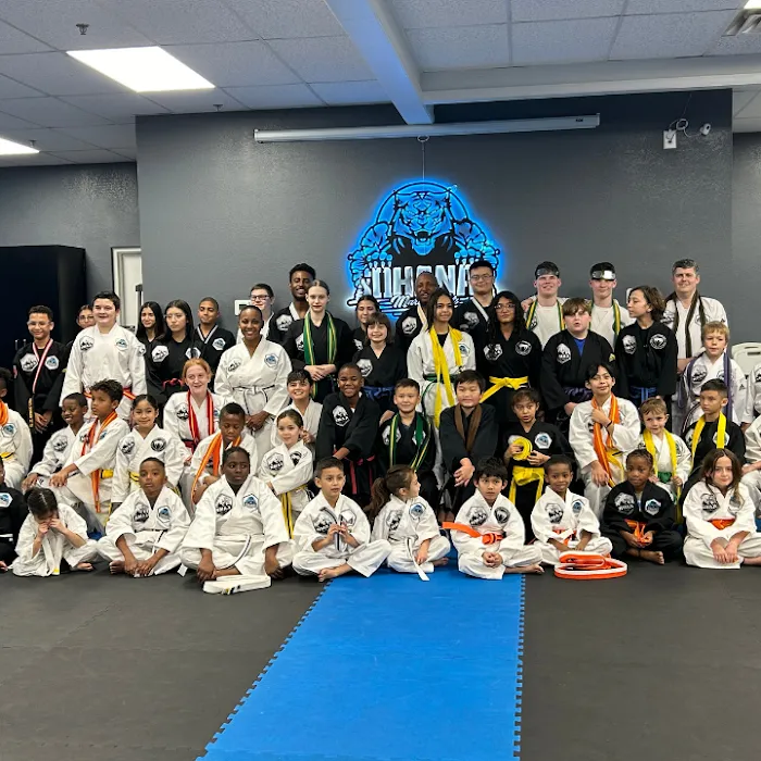 Ohana Martial Arts Picture 6